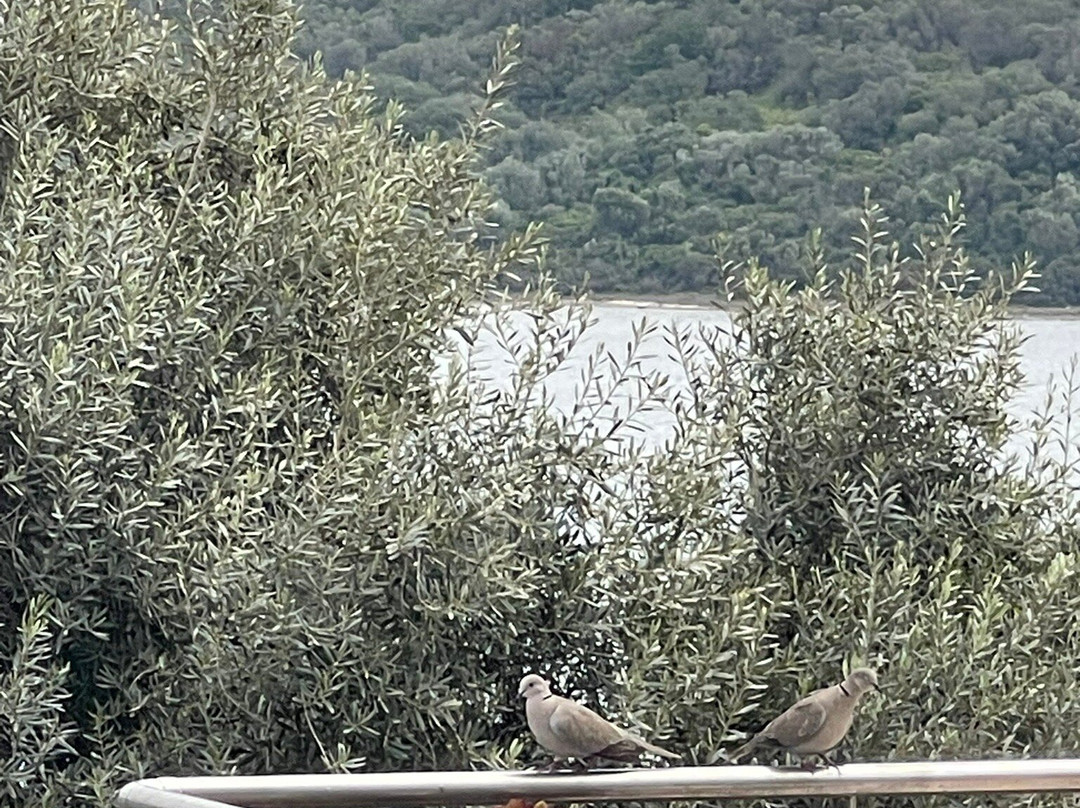 亚利卡普吉尼精品酒店主图