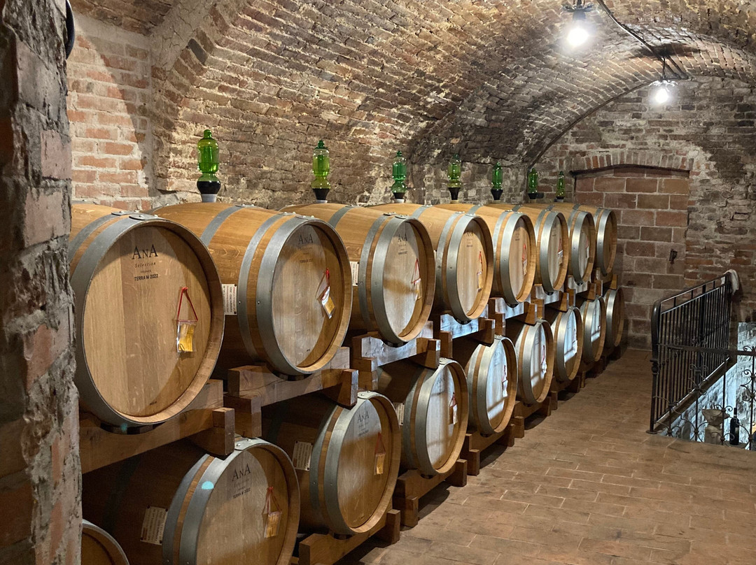 Azienda Agricola Ercolani-蒙特普尔恰诺必去景点