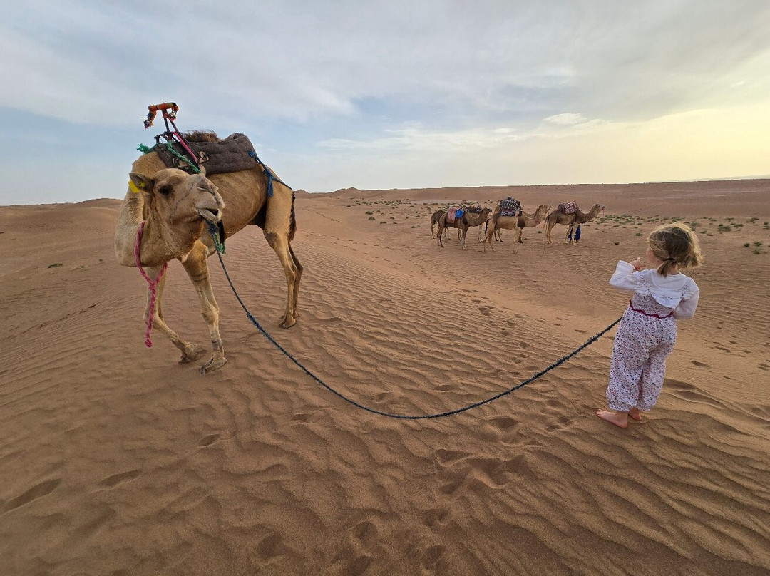 Desert Foum Zguid-Foum Zguid必去景点