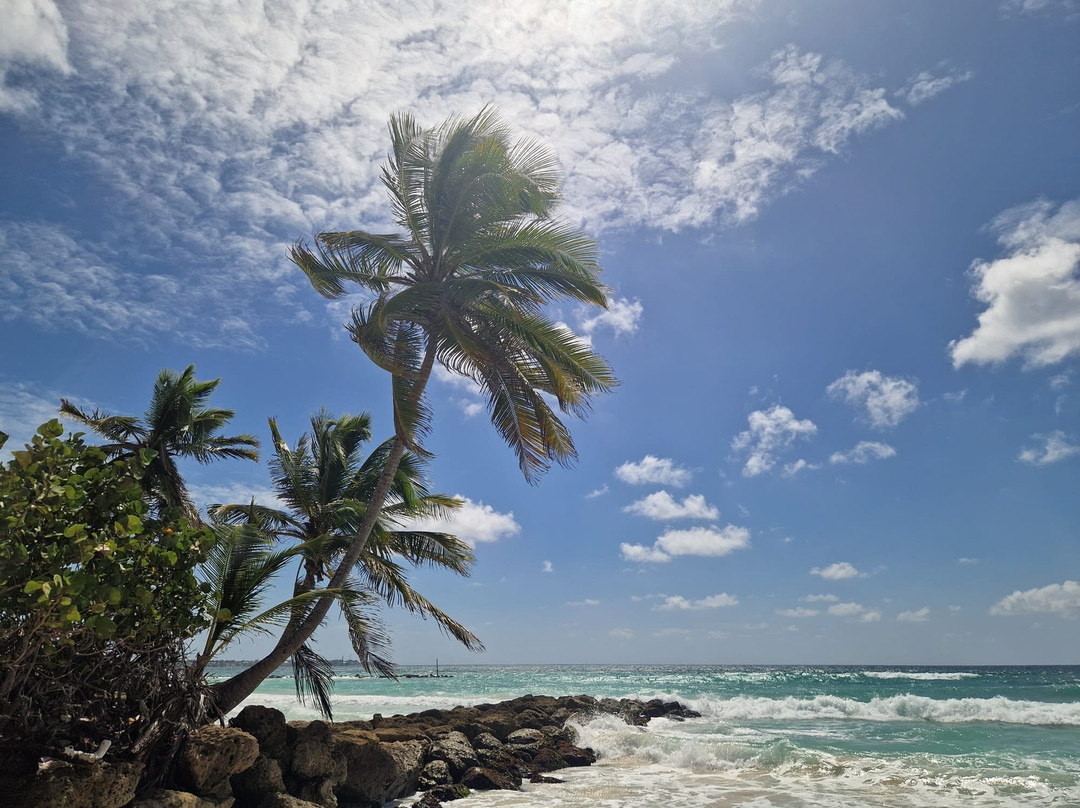 巴巴多斯三角梅酒店主图