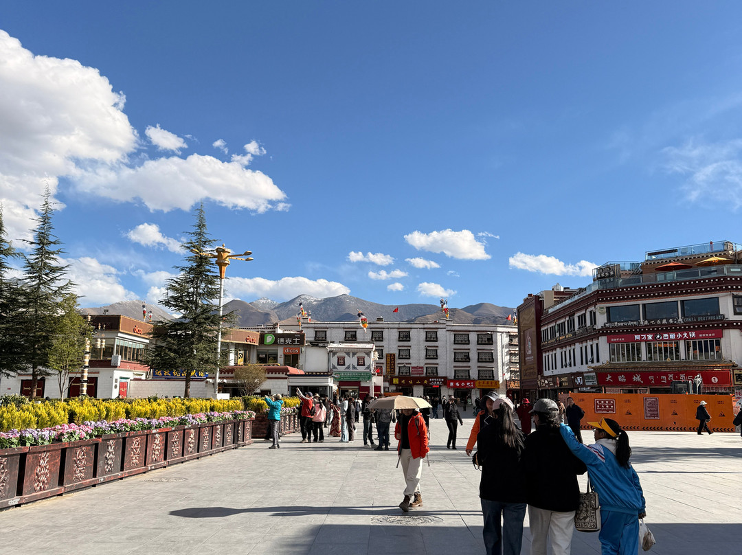 The Himalaya Ventures Tour-拉萨市必去景点