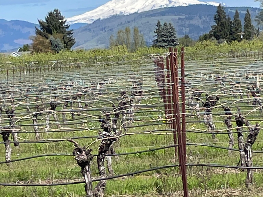 Mount Hood Railroad-胡德里弗必去景点