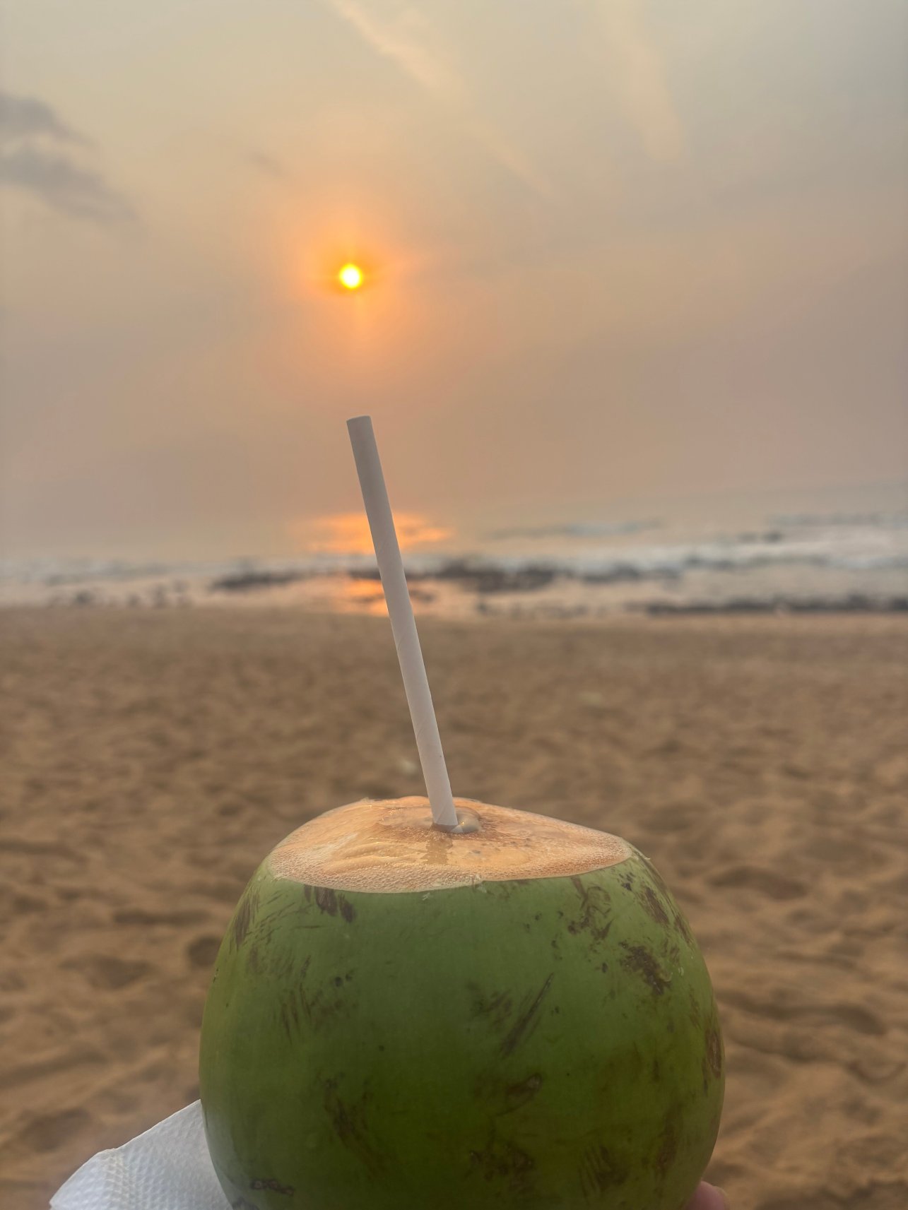 Pema Wellness Resort-旅行者