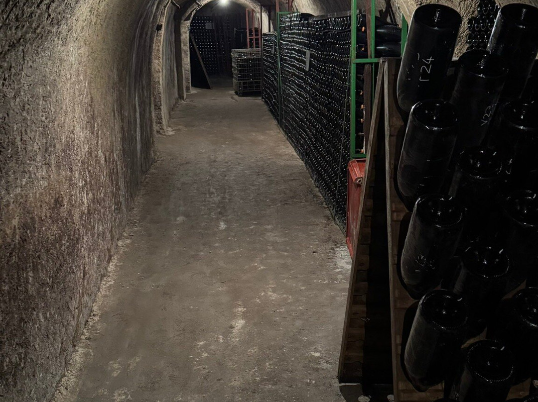Champagne Lamiable-Tours-sur-Marne必去景点