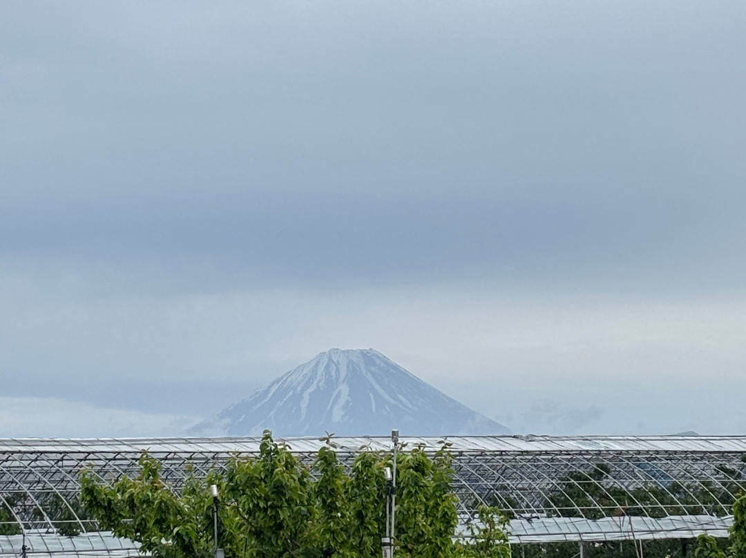Nakagomi Fruit Orchard-南阿尔卑斯市必去景点