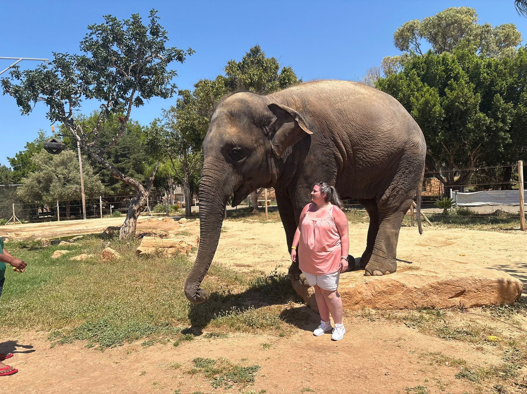 Pafos Zoo-帕福斯必去景点