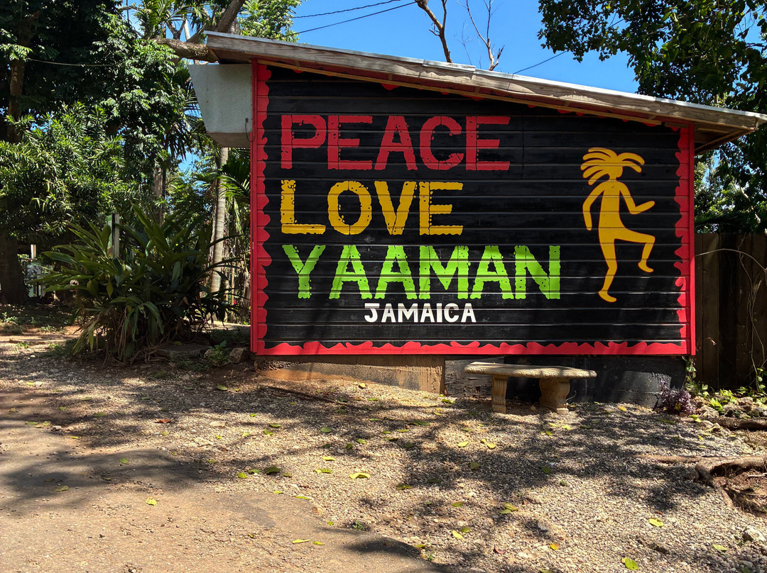 Yaaman Adventure Park-奥乔里奥斯必去景点