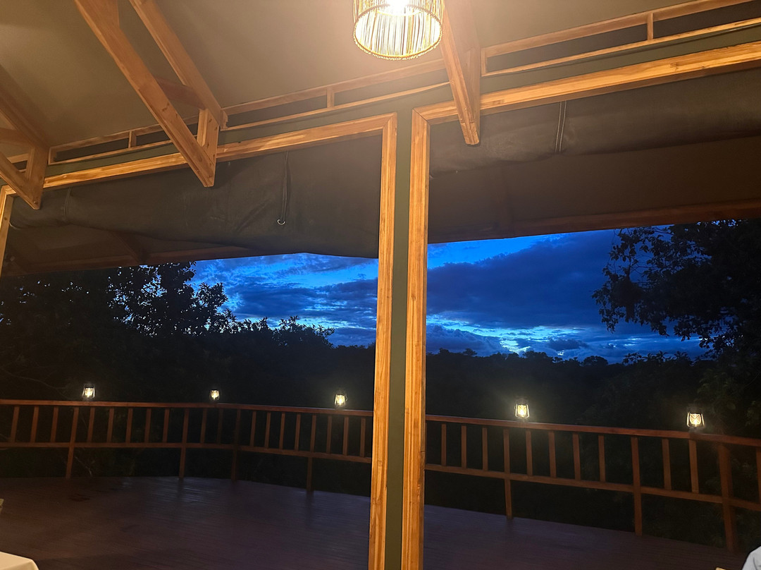 Tarangire Classic View Camp-Ikoma必去景点