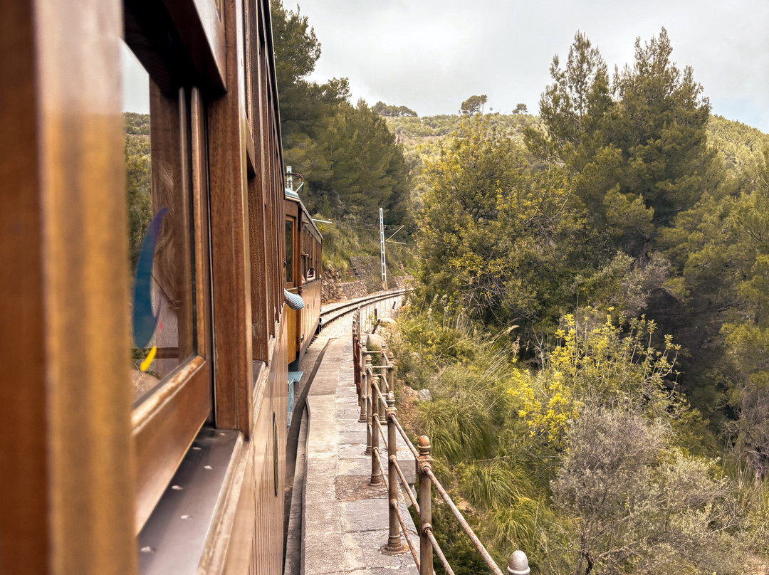 Tren de Sóller-索耶尔必去景点