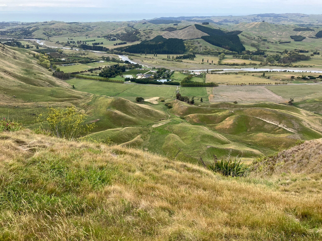 Te Mata Peak-黑斯廷斯必去景点