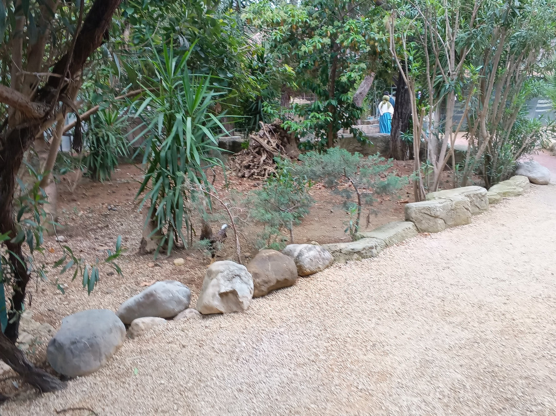 Dino Park-Goynuk必去景点