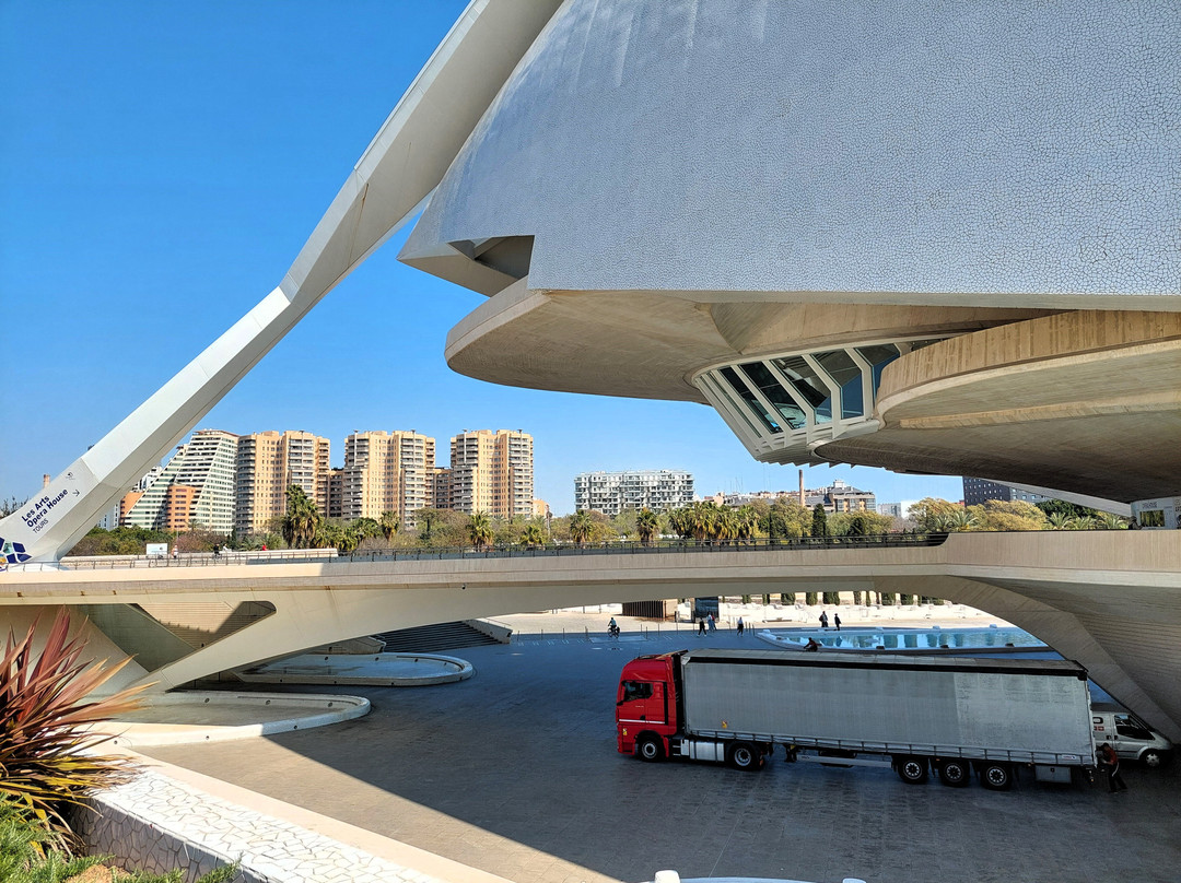 Palacio de las Artes Reina Sofía-巴伦西亚必去景点
