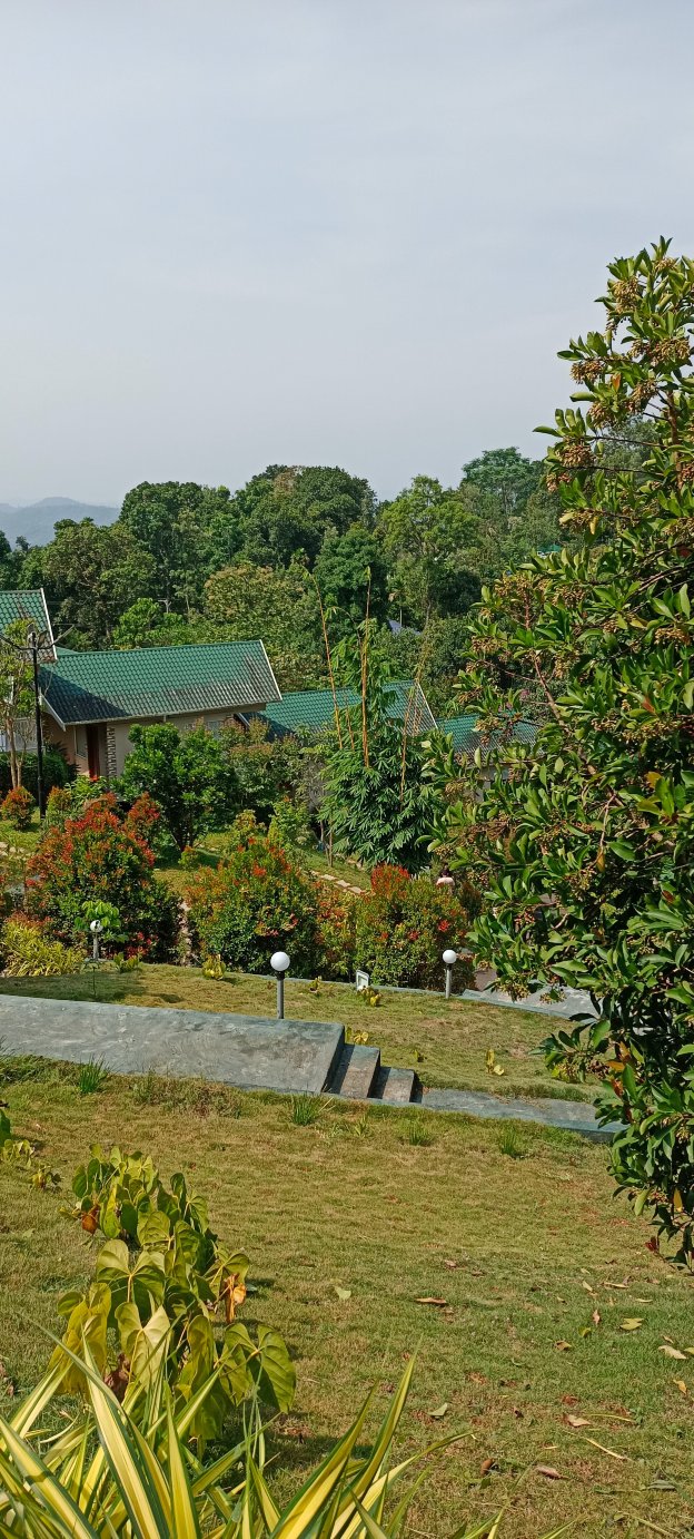 阿韦达满纳山区和雾气-旅行者