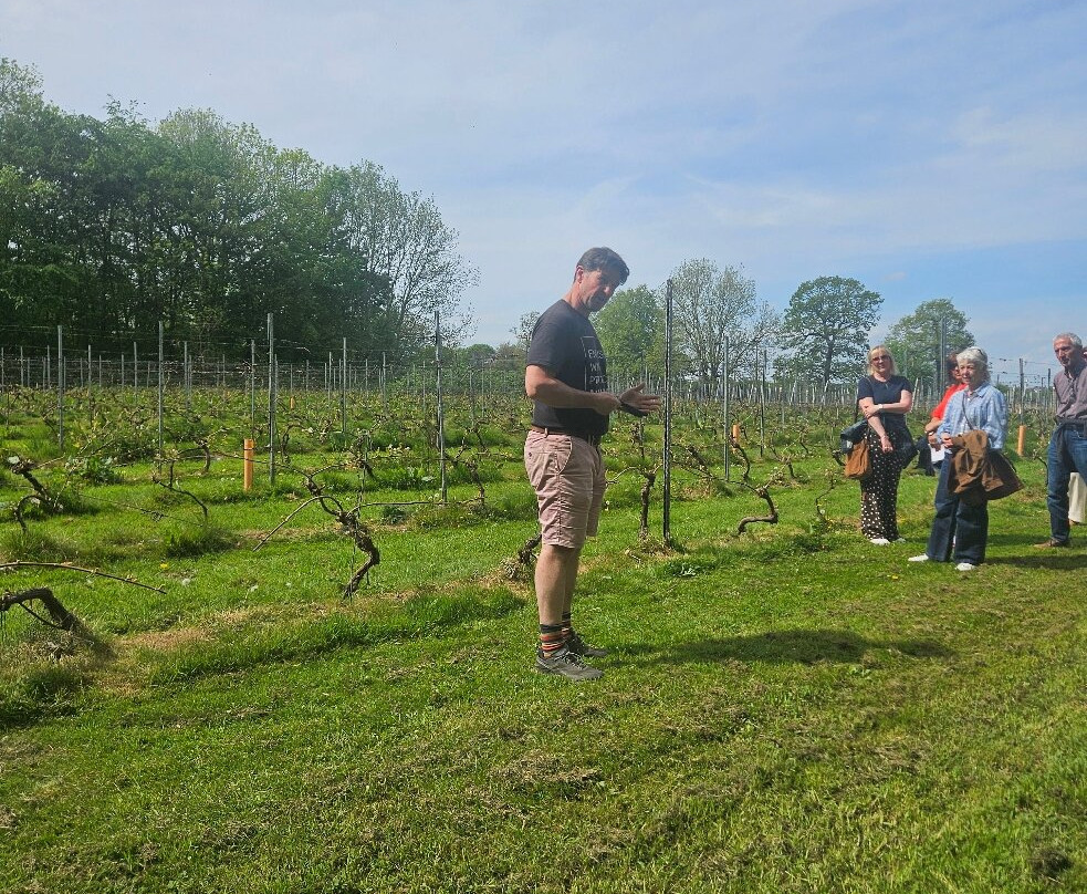 Renishaw Hall Vineyard-Eckington必去景点