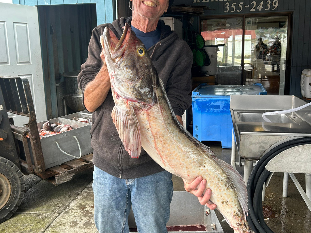 SIGGI-G Ocean Charters-Garibaldi必去景点