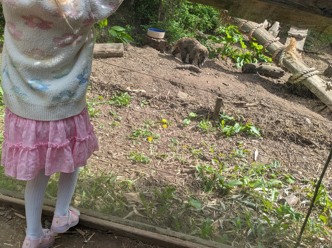Wild Zoological Park-Bobbington必去景点
