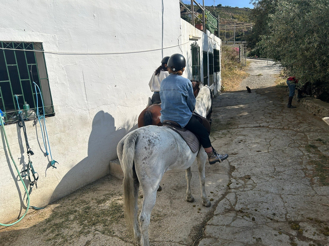 Andale Riding Nerja-内尔哈必去景点