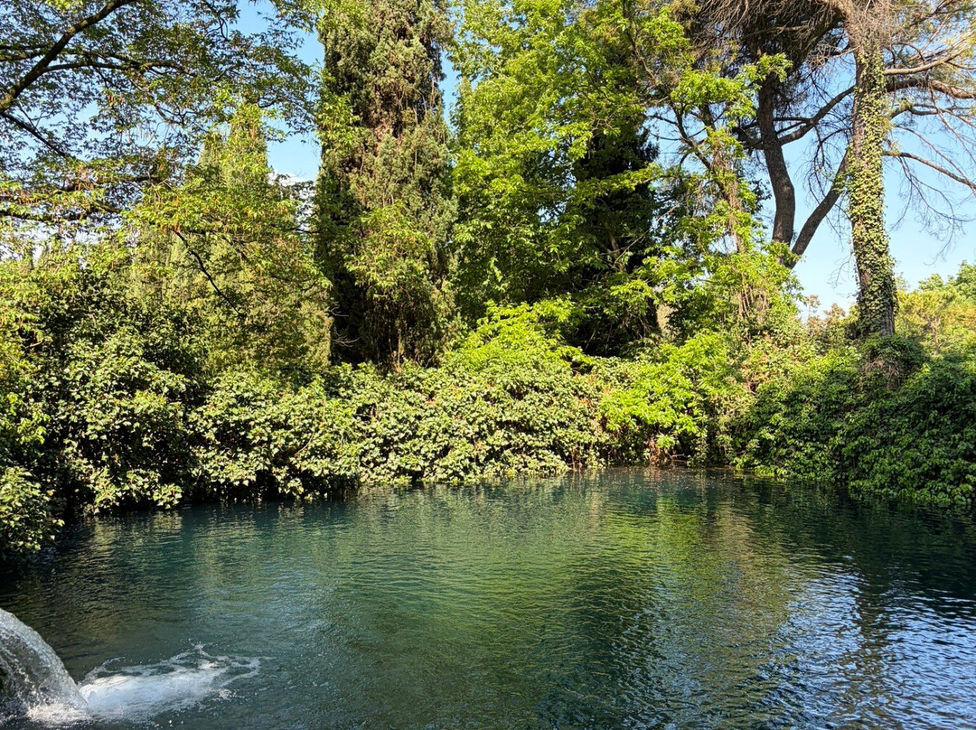 Parco Giardino Sigurtà-明乔河畔瓦莱焦必去景点