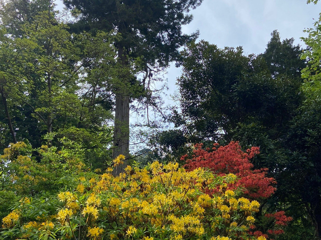Greenway House-Greenway必去景点
