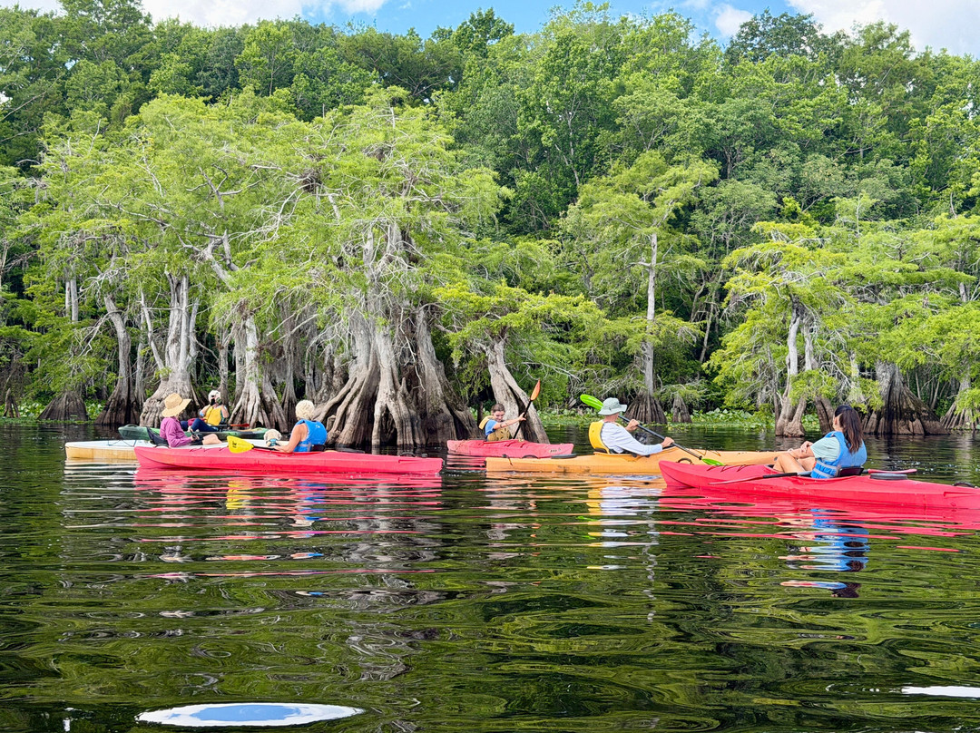 Lake Norris Conservation Area-Eustis必去景点