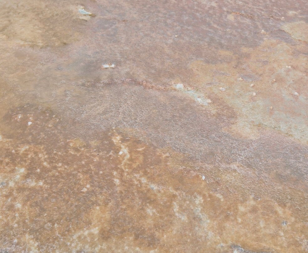 Sasyk-Syvash Lake-Yevpatoriya必去景点