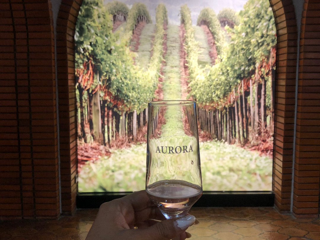 Aurora Winery-本图贡萨尔维斯必去景点