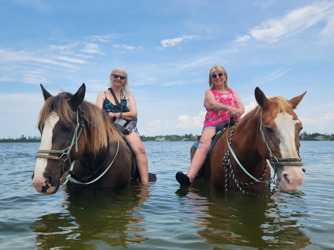 Florida Beach Horses-布雷登顿必去景点