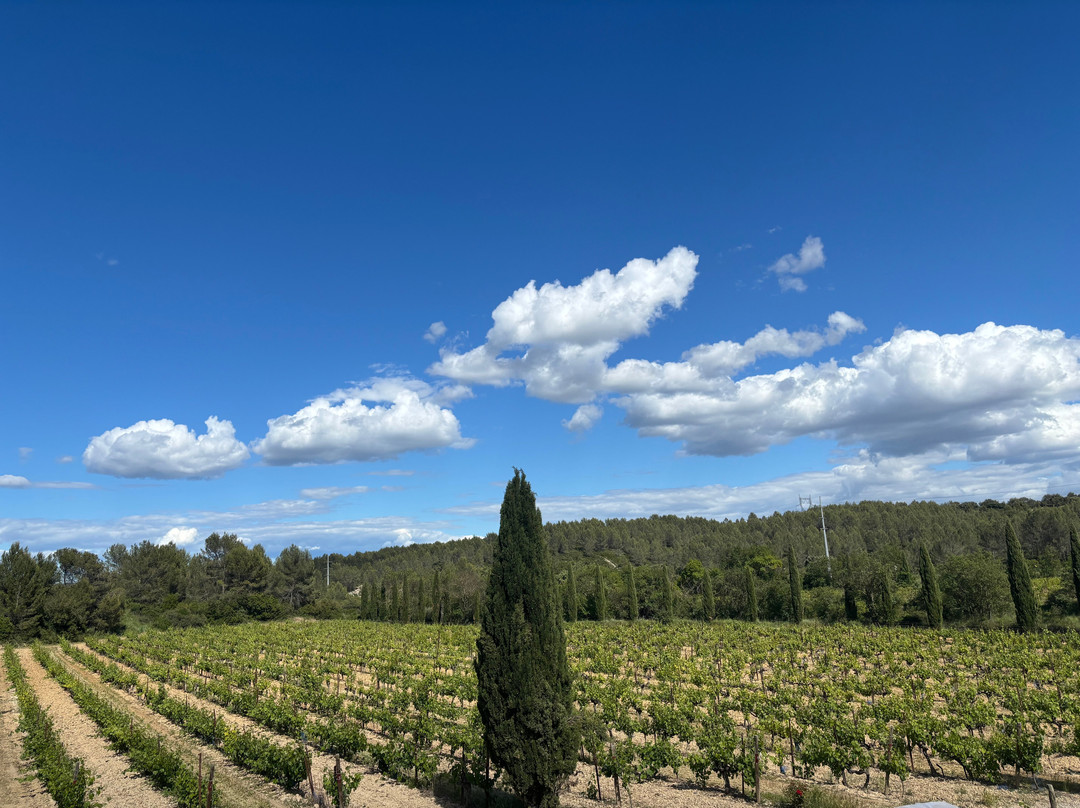 Domaine Haut-Lirou-Le Triadou必去景点