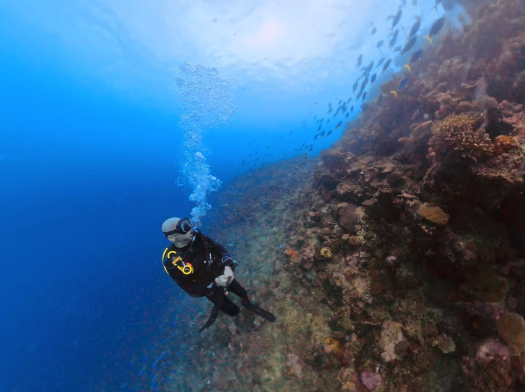 Beqa Adventure Divers-太平洋港必去景点