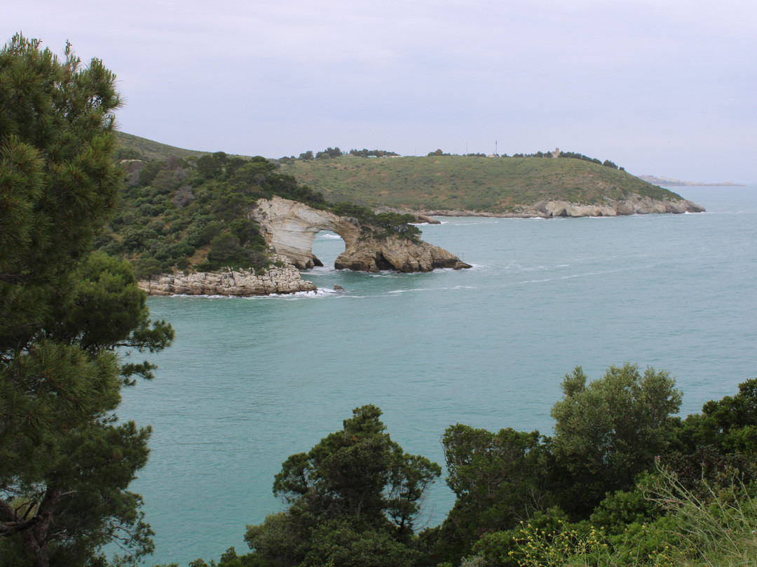 Arco di San Felice-维耶斯泰必去景点