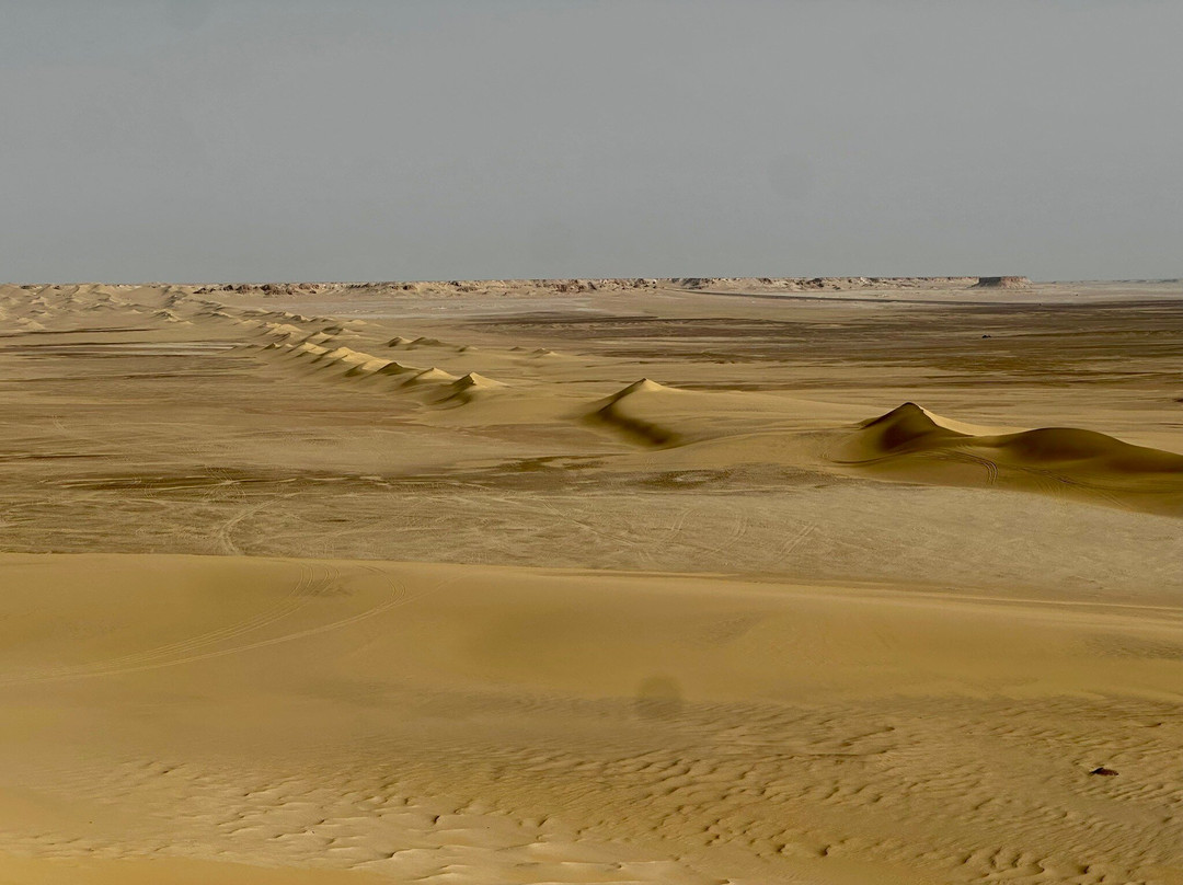 Jimmy Egypt Safari-Bawiti必去景点