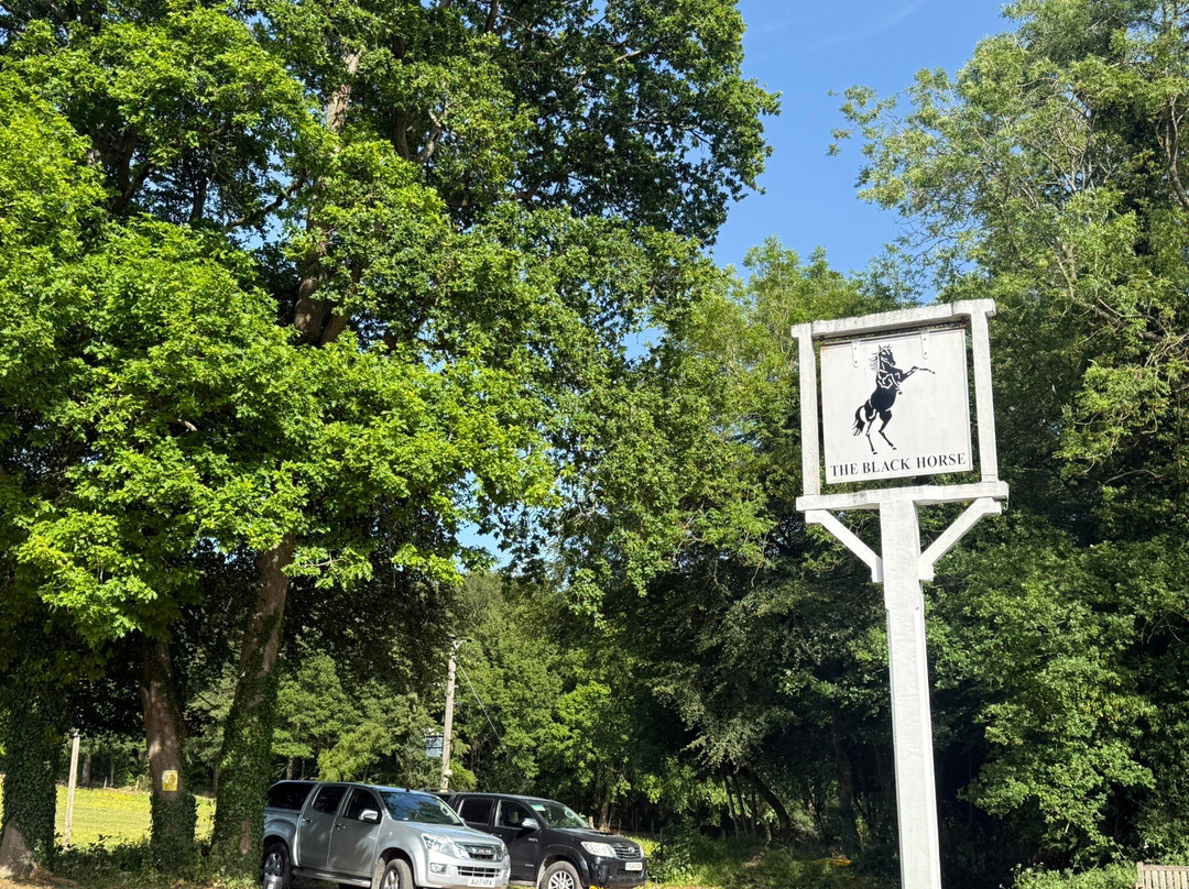 The Black Horse Pub-Checkendon必去景点