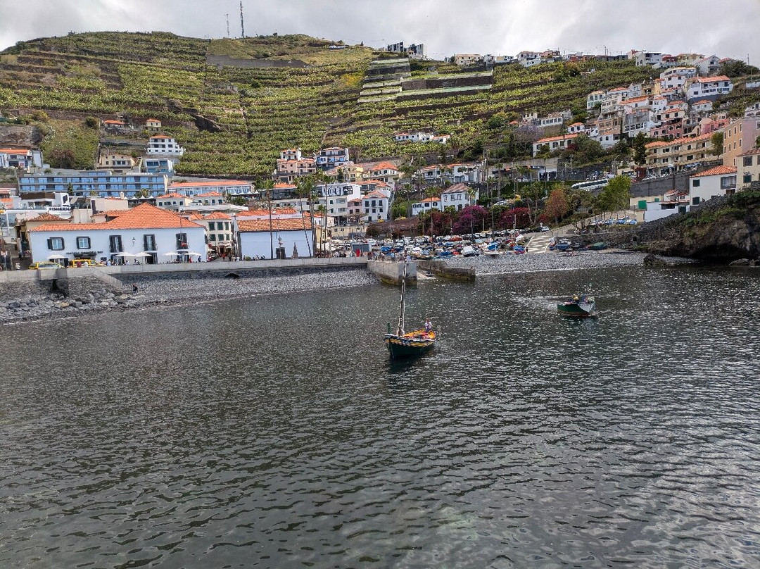 Camara Do Lobos-Camara De Lobos必去景点