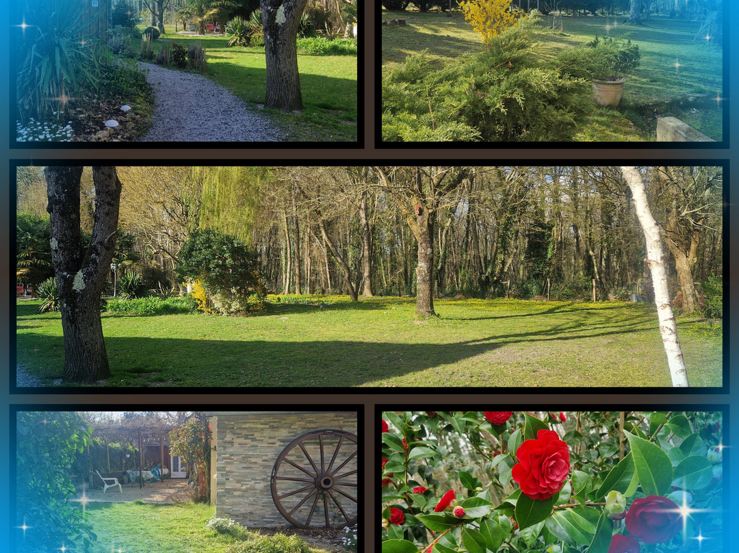 Domaine de Sahil主图