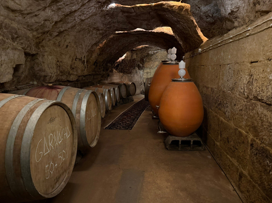 Bodega La Cueva del Castillo-Labastida必去景点