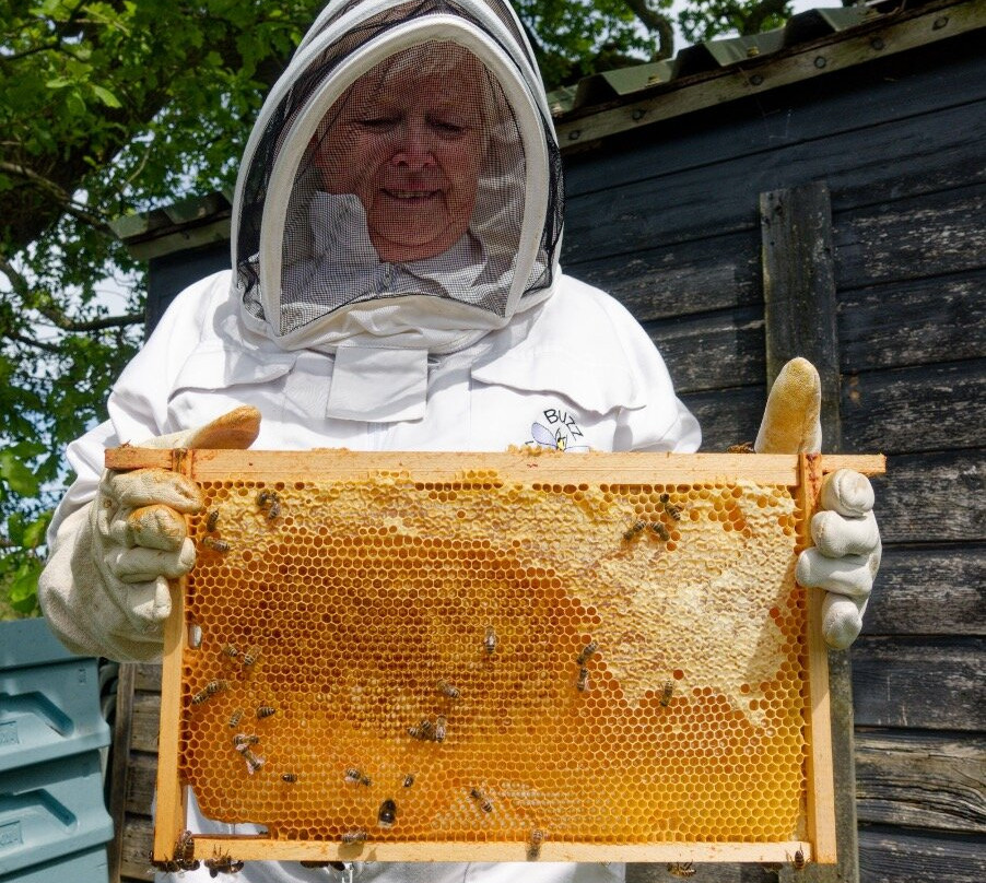 The Bee Centre-乔利必去景点