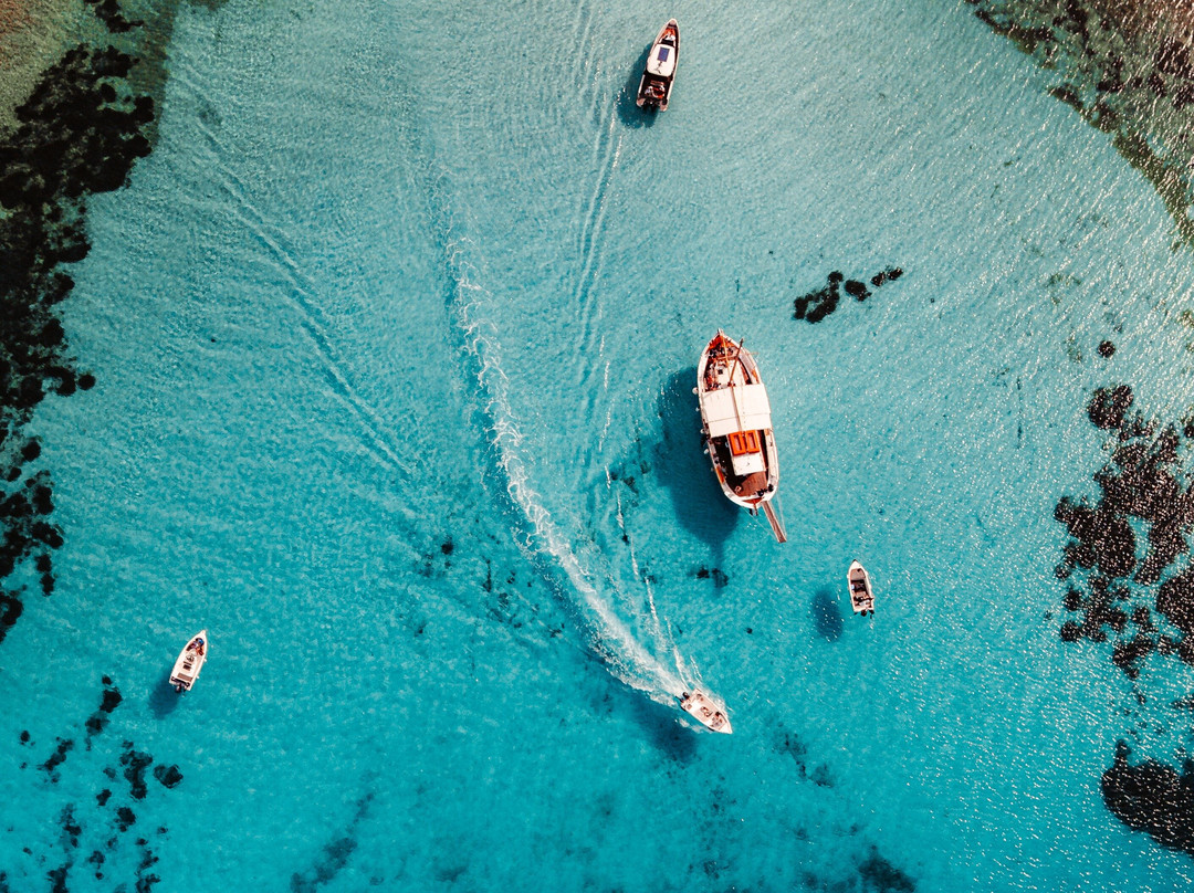 Argo Daily Cruises A