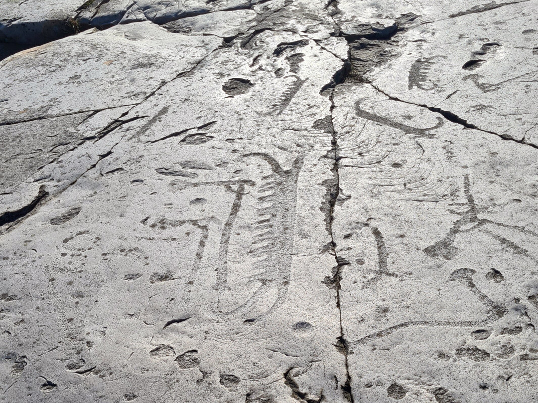 Horsahallen's Rock Carving Area-Simrishamn必去景点