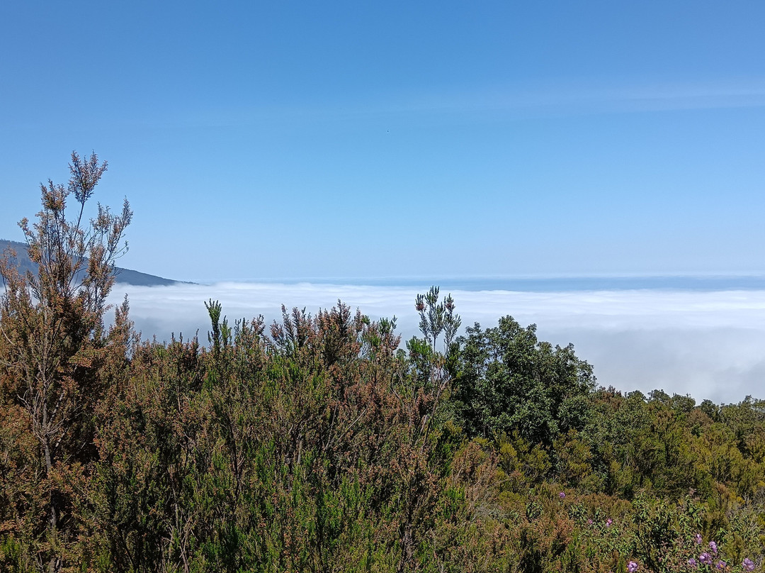 泰德峰火山-特纳里夫必去景点