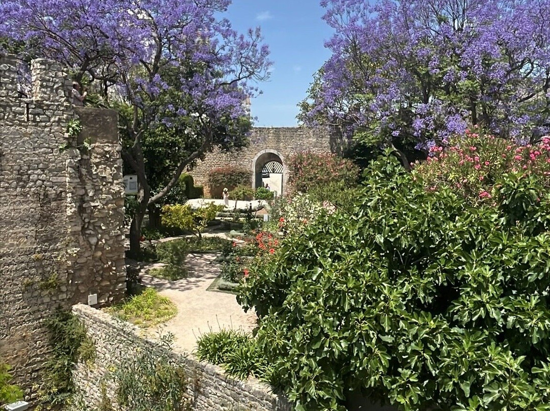 Castelo de Tavira-塔维拉必去景点