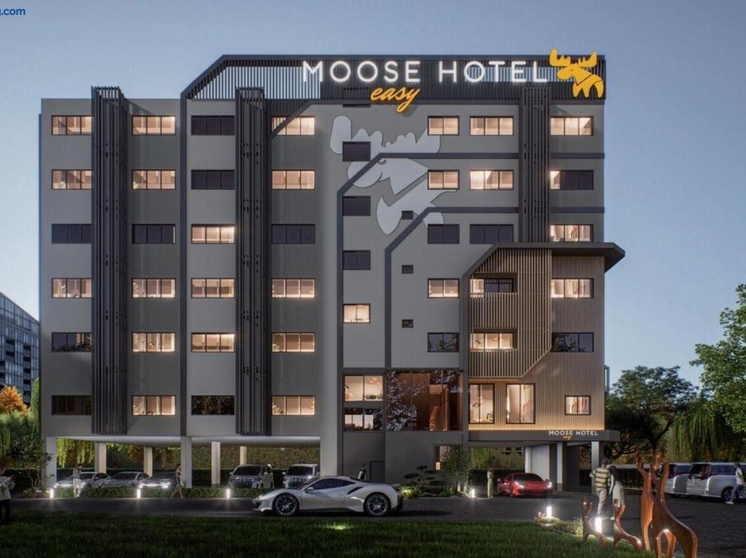 Moose Easy Hotel