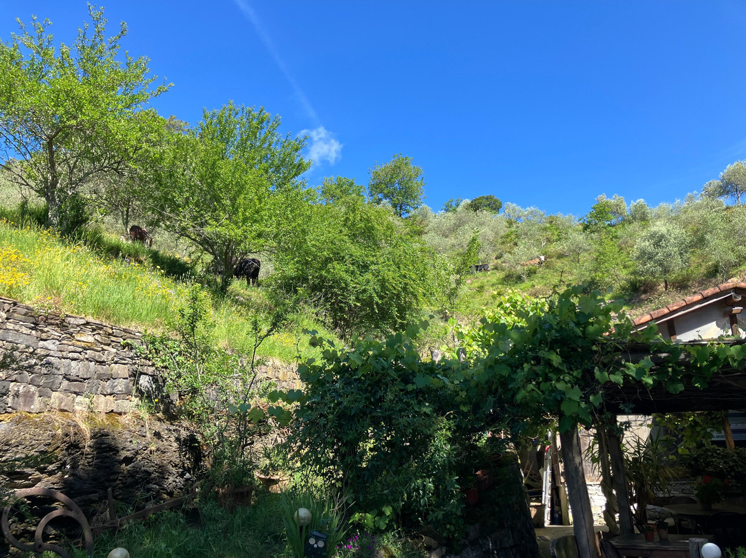 Agriturismo Valle Chiappella-San Colombano Certenoli必去景点