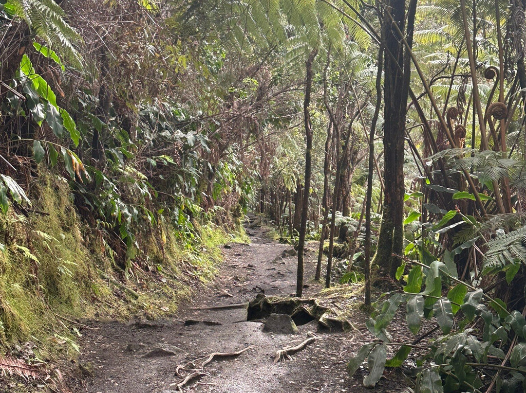 夏威夷火山国家公园-夏威夷火山国家公园必去景点