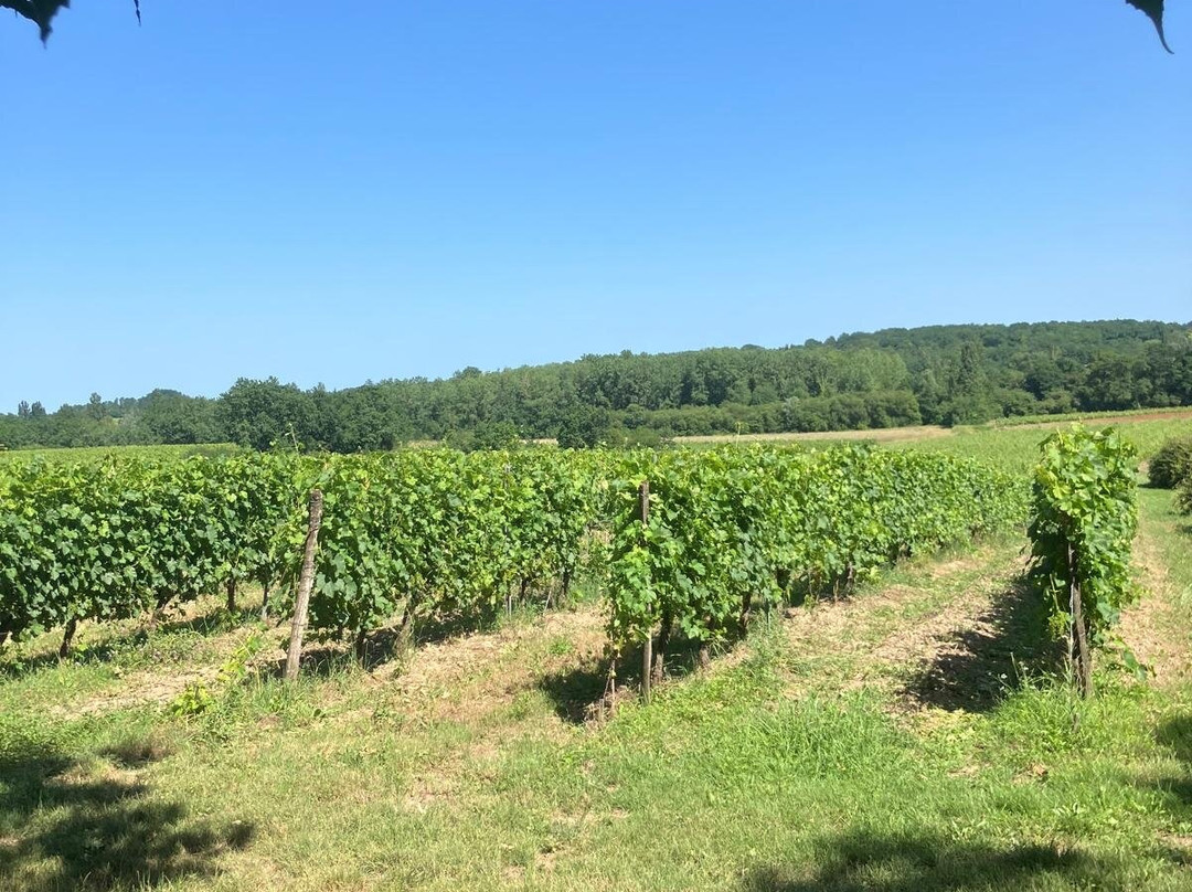Château le Noble-Saint-Germain-Du-Puch必去景点