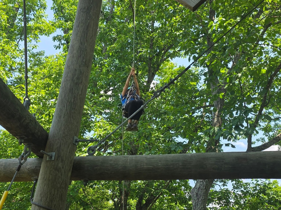Smoky Mountain Ziplines-皮金福奇必去景点