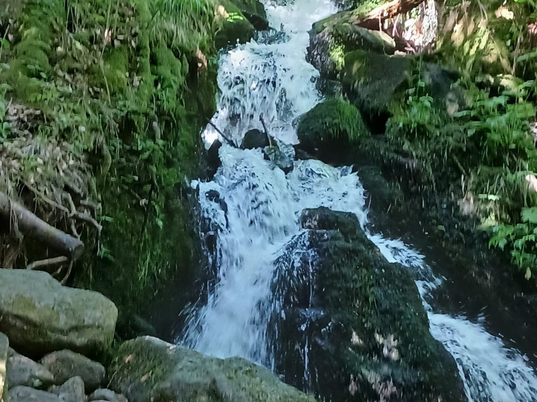 Saut du Bouchot-Vagney必去景点