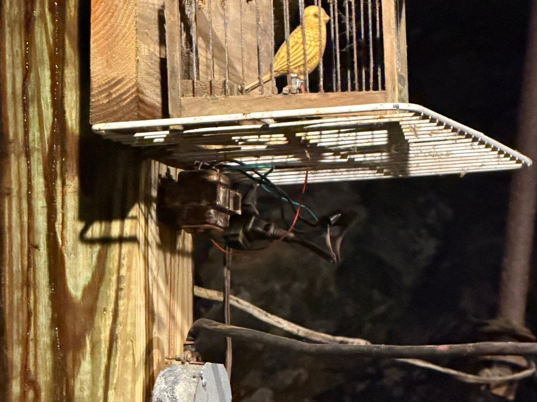 Lackawanna Coal Mine Tour-斯克兰顿必去景点