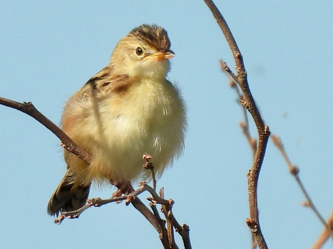 Greece Bird Tours-Marathon必去景点