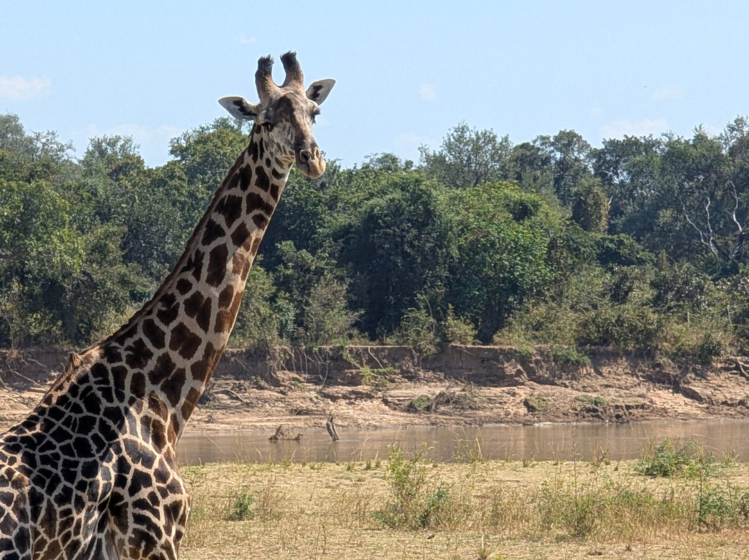 Msandile River Lodge主图
