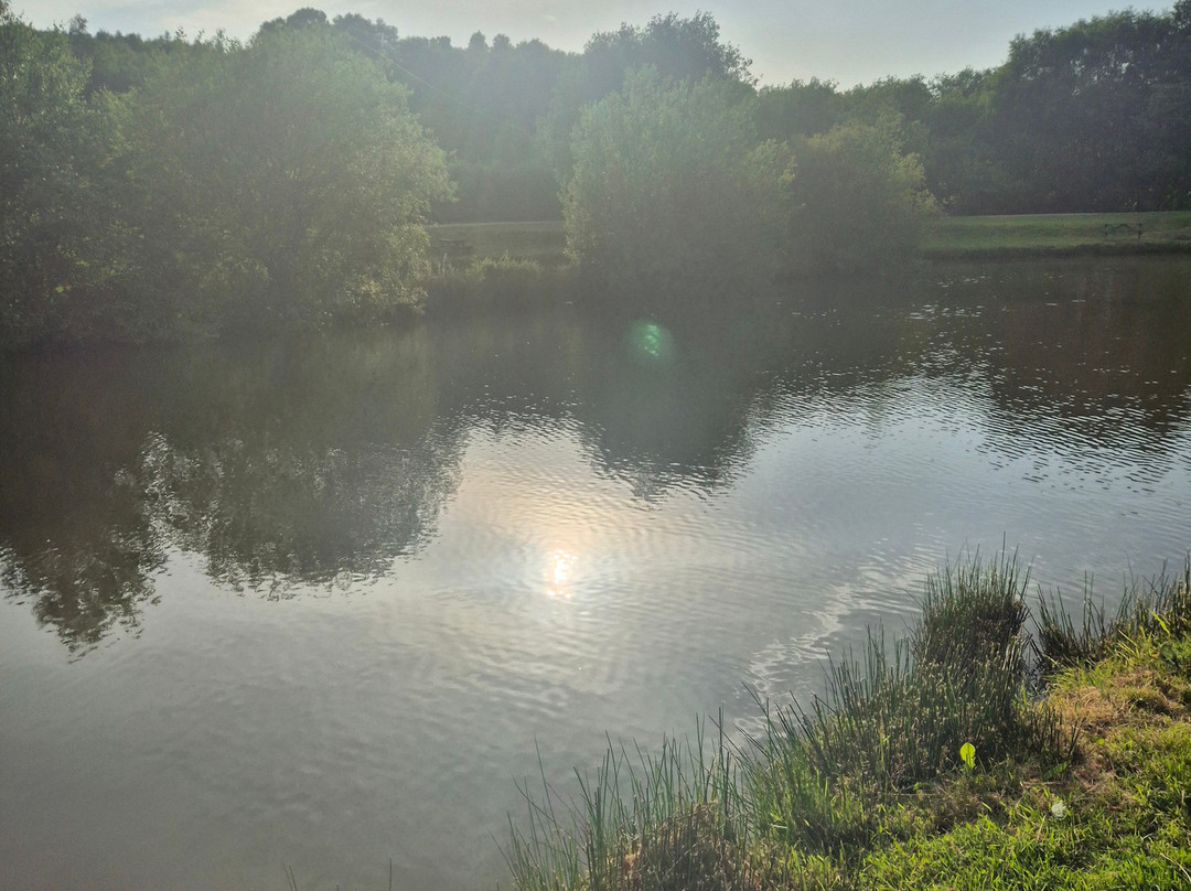 Llandegla Fishery-Llandegla必去景点